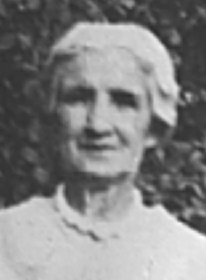 Susan Laura Dobbs (1860 - 1942) Profile